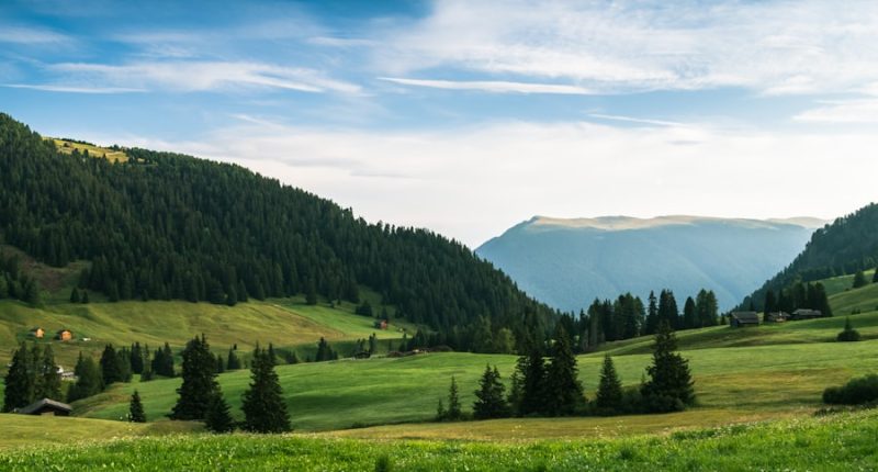 Photo Netlinking ethics