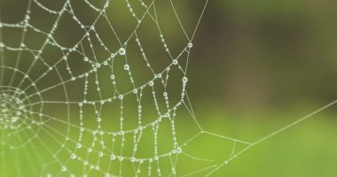 Photo Core Web Vitals