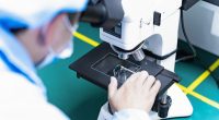 Photo micro-experts