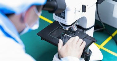 Photo micro-experts