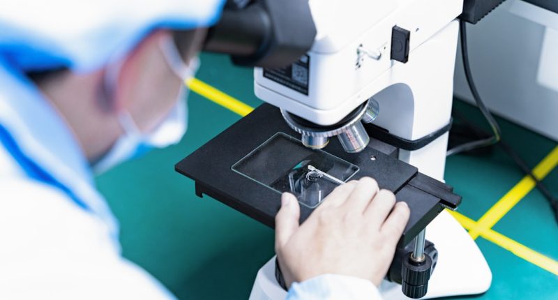 Photo micro-experts